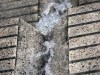 IMG_0623-01