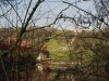 IMG_0704-01