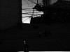 DSC3366
