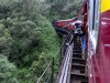 Train_liberte