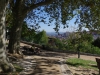 Lisbonne_Jardin_Tourel
