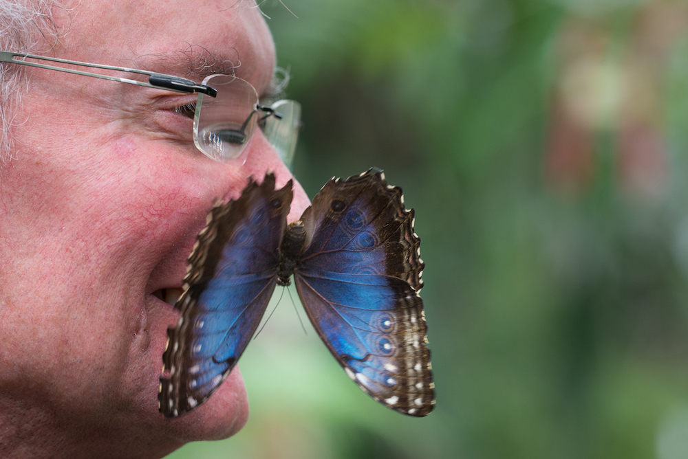 Sortie Nature à la serre aux papillons