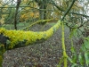Arboretum-4
