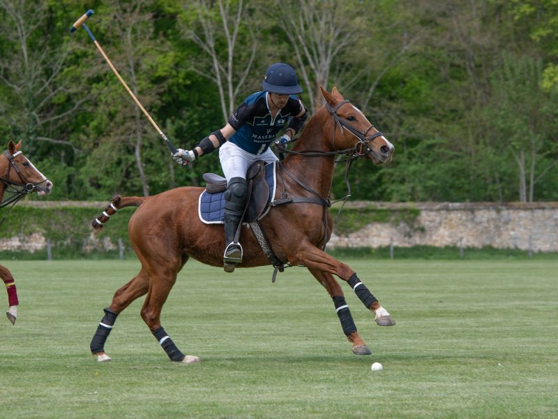 Sortie Polo à Courances