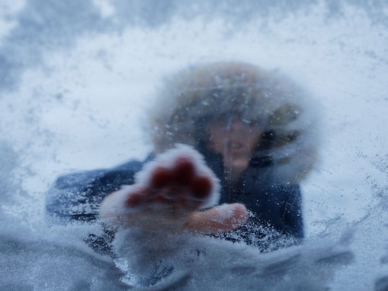 Photo du Mois : Mars 2026